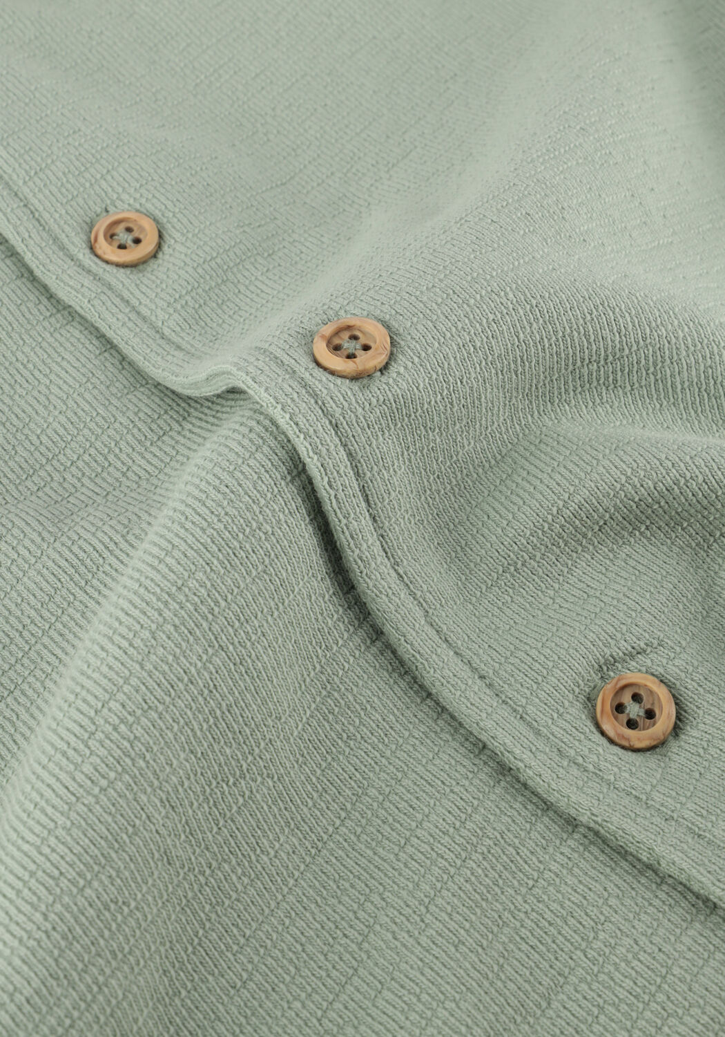 DAILY7 Polo T-SHIRT FANCY POLO en vert - large