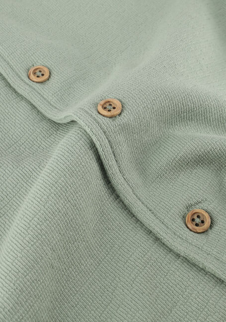 DAILY7 Polo T-SHIRT FANCY POLO en vert - large