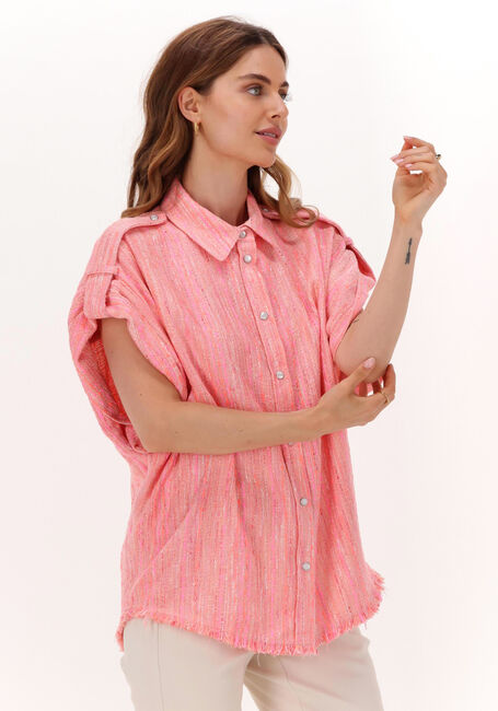 Roze IRO  FAHS - large