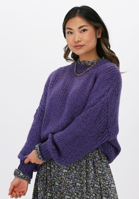 COLOURFUL REBEL Pull OLIVIA CREW NECK SWEATER en violet - large