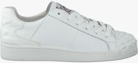 white ASH shoe CRACK  - medium