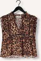 Bruine JANICE  CARSON Bruine JANICE  CARSON - medium