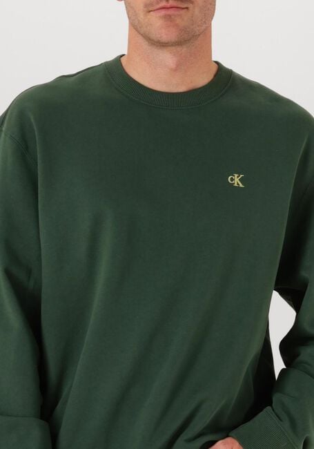 CALVIN KLEIN Chandail LS EU 350TERRY MONOGRAM CN SWEAT Vert foncé - large