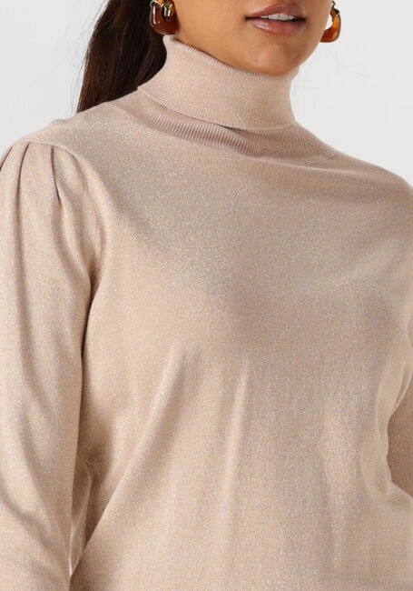 Roze NUKUS Coltrui SYLVIA PULLOVER LUREX - large