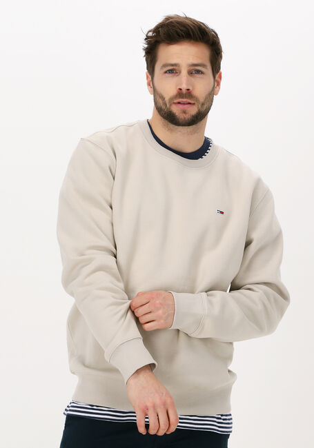 TOMMY JEANS Chandail TJM REGULAR FLEECE C NECK en beige - large