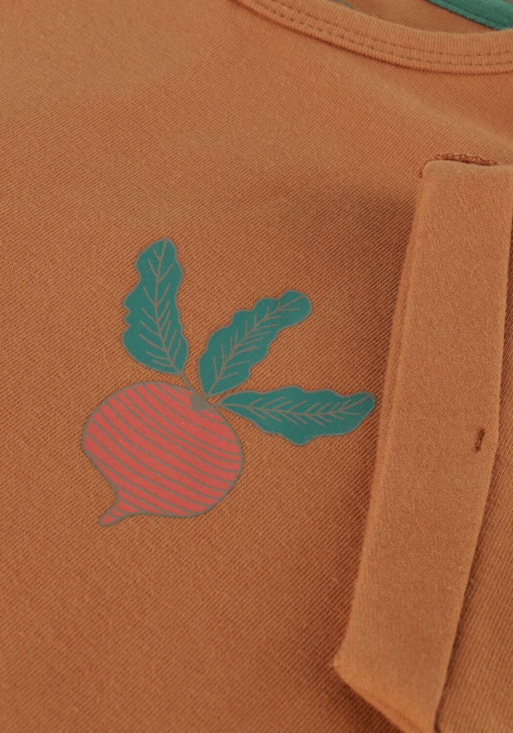 Z8 T-shirt ESTEBAN en camel - large