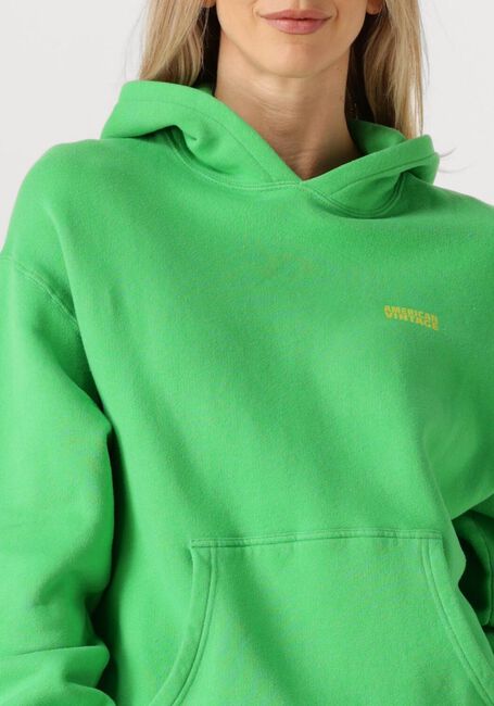 Groene AMERICAN VINTAGE Trui IZUBIRD - large