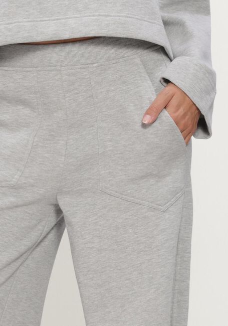 DEBLON SPORTS JAYDEN WIDE LEG JOGGER Pantalons en gris - large
