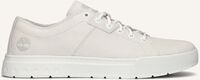 Witte TIMBERLAND Sneakers MAPLE GROVE LOW Witte TIMBERLAND Sneakers MAPLE GROVE LOW - medium
