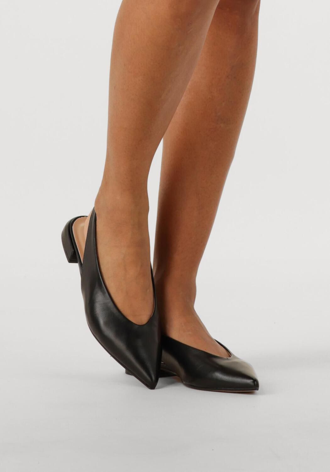 Zwarte NOTRE-V  12218 - large