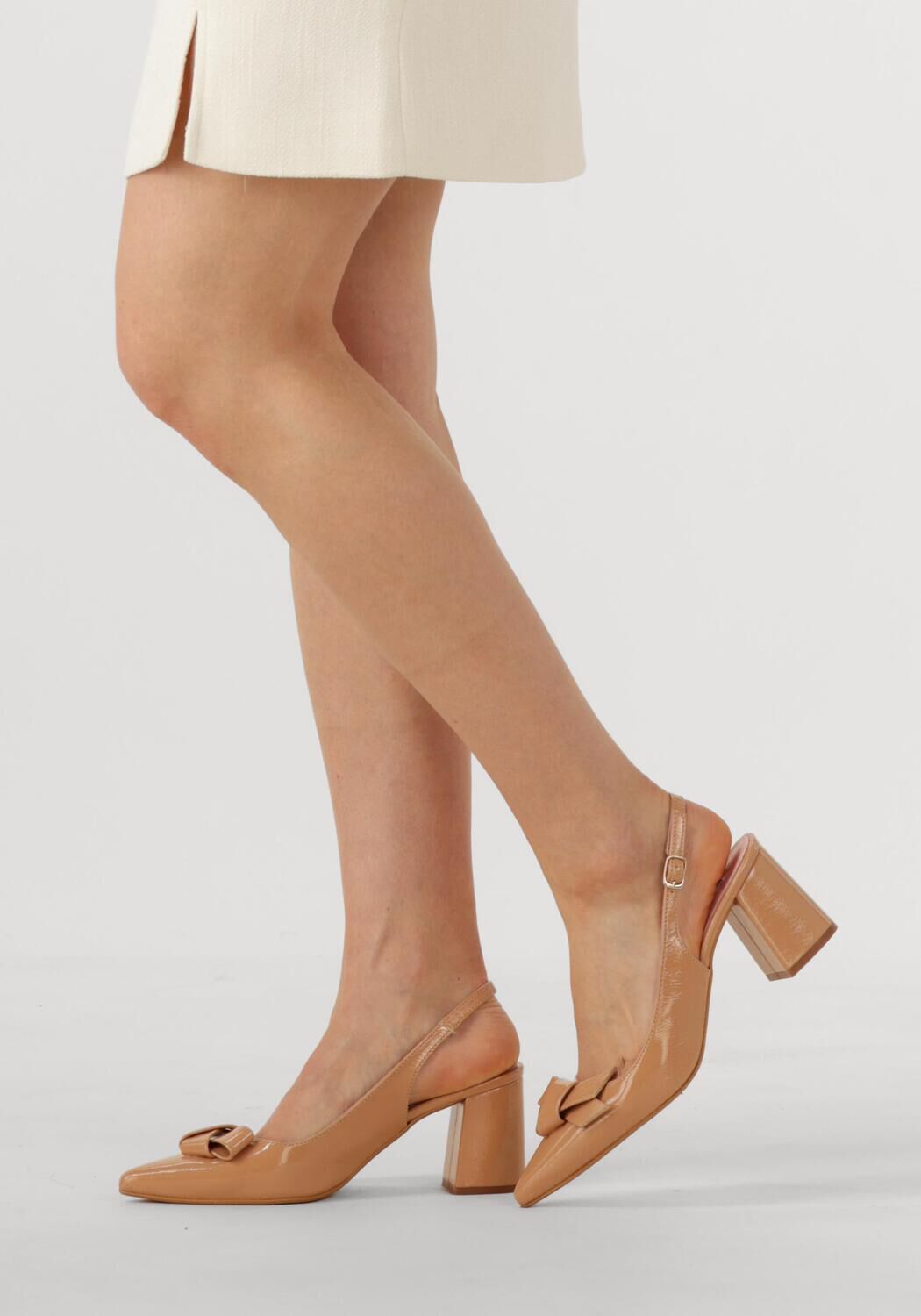 Camel NOTRE-V  2621CL - large