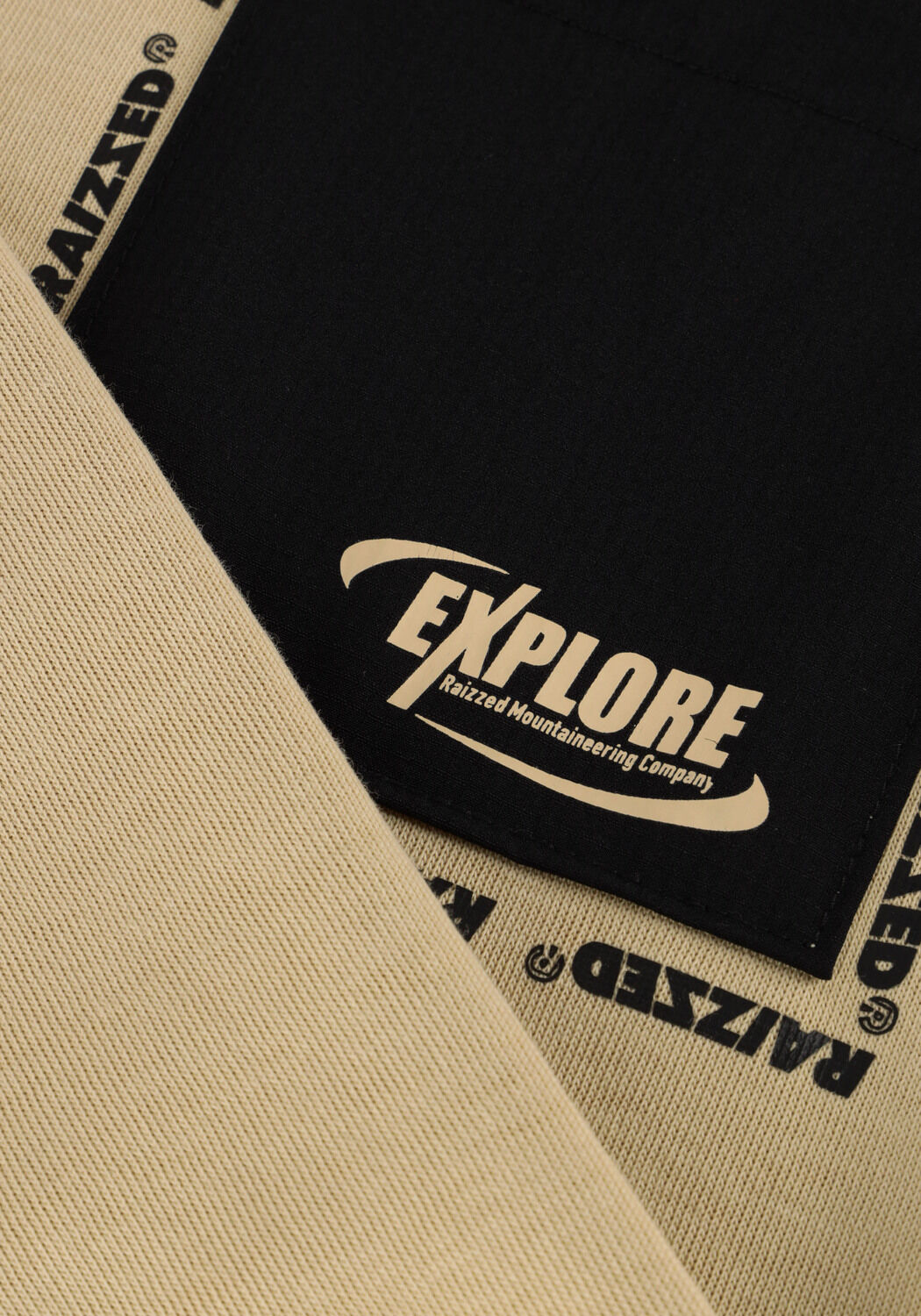 RAIZZED Chandail LAWTON Sable - large