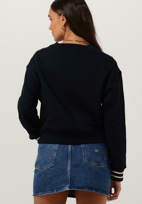Blauwe TOMMY HILFIGER Vest REG VARSITY IMD NY CARDIGAN - large