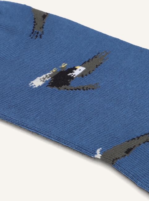 Blauwe ALFREDO GONZALES Beenmode EAGLES Blauwe ALFREDO GONZALES Beenmode EAGLES - large