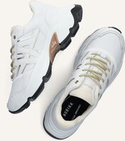 Witte NUBIKK Sneakers ROSS TREK EDGE DAMES Witte NUBIKK Sneakers ROSS TREK EDGE DAMES - medium