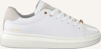 Witte CRUYFF Lage sneakers PURE - medium