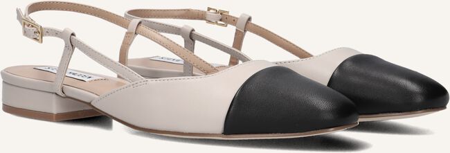 Zand STEVE MADDEN  BELINDA Zand STEVE MADDEN  BELINDA - large