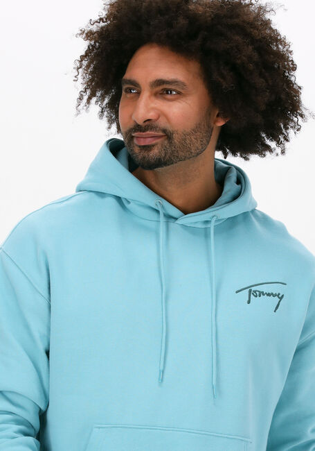 Lichtblauwe TOMMY JEANS Sweater TJM SIGNATURE HOODIE - large