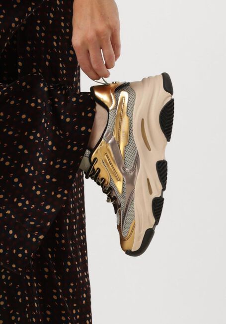 Gouden STEVE MADDEN Sneakers POSSESSION - large