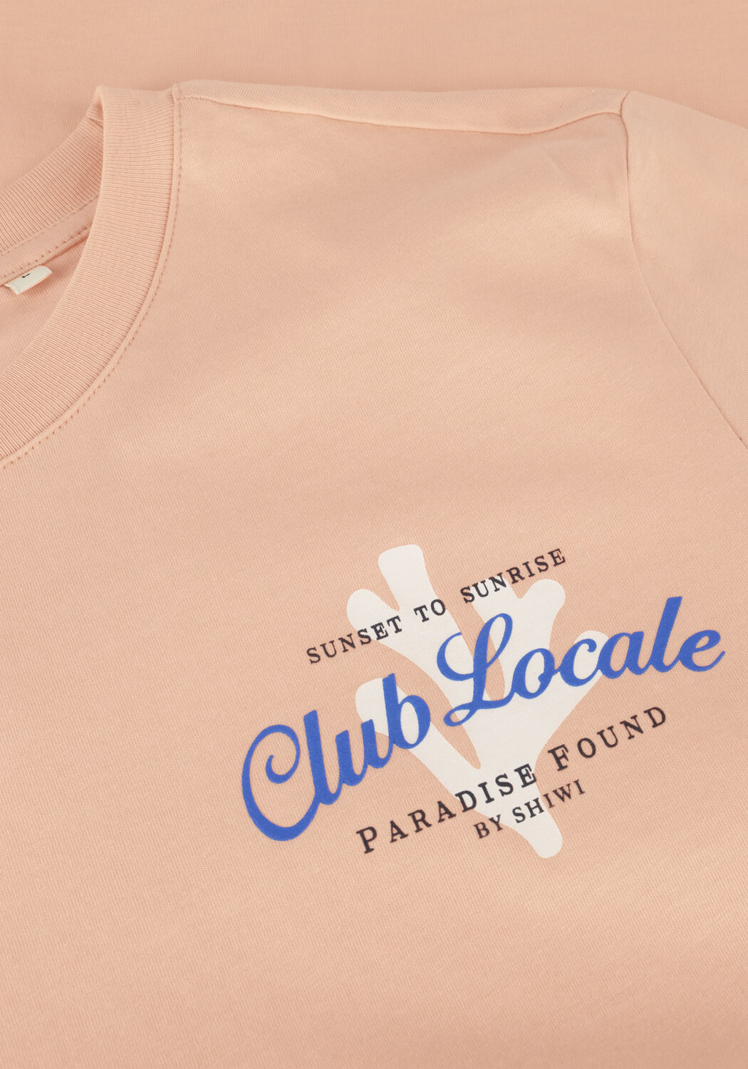 SHIWI T-shirt MEN LIAM REGULAR T-SHIRT PARADISE en orange - large