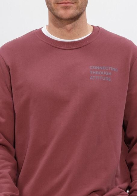 Bordeaux JC RAGS Sweater SWEATSHIRT DOUGLAS - large