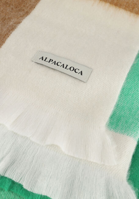 ALPACA LOCA SCARF BLOCKED Foulard en vert - large