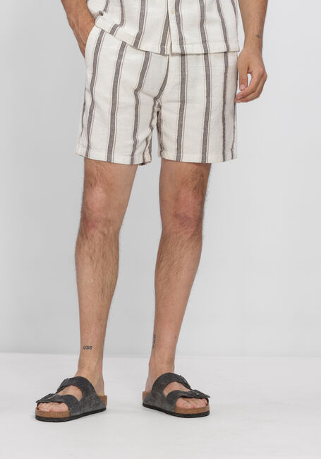 Multi PURE PATH Korte broek STRIPED SHORTS - large