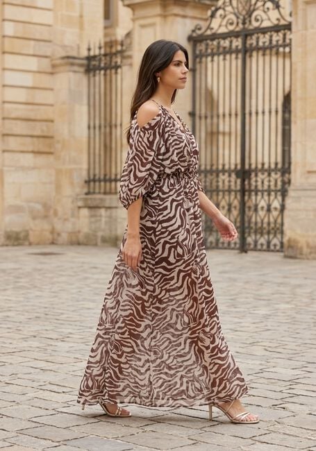 Multi DANTE6 Maxi jurk ROSAFIERE PRINTED MAXI DRESS - large