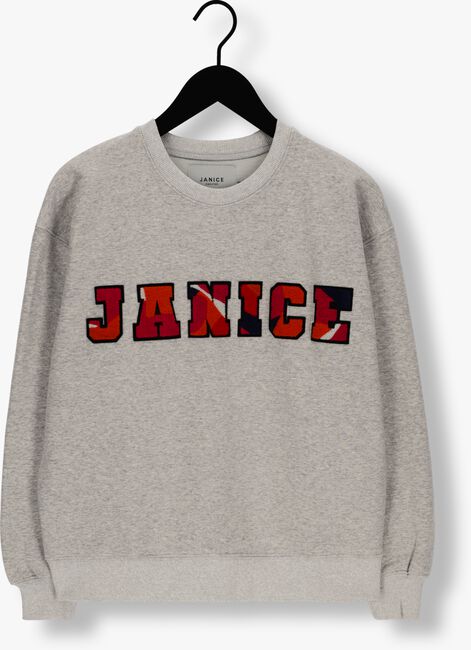 JANICE Pull SWEATER DAMES ANDY LOGO en gris - large