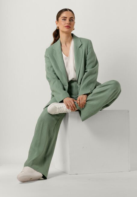 Groene DRYKORN Pantalon DESK - large