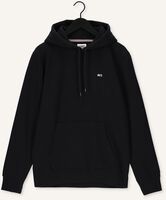 Zwarte TOMMY JEANS Sweater TJM REGULAR FLEECE HOODIE Zwarte TOMMY JEANS Sweater TJM REGULAR FLEECE HOODIE - medium