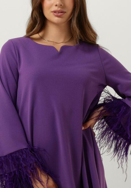 ANA ALCAZAR Mini robe 040362-3461 en violet - large