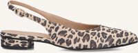 Beige LINA LOCCHI  010-72 - medium
