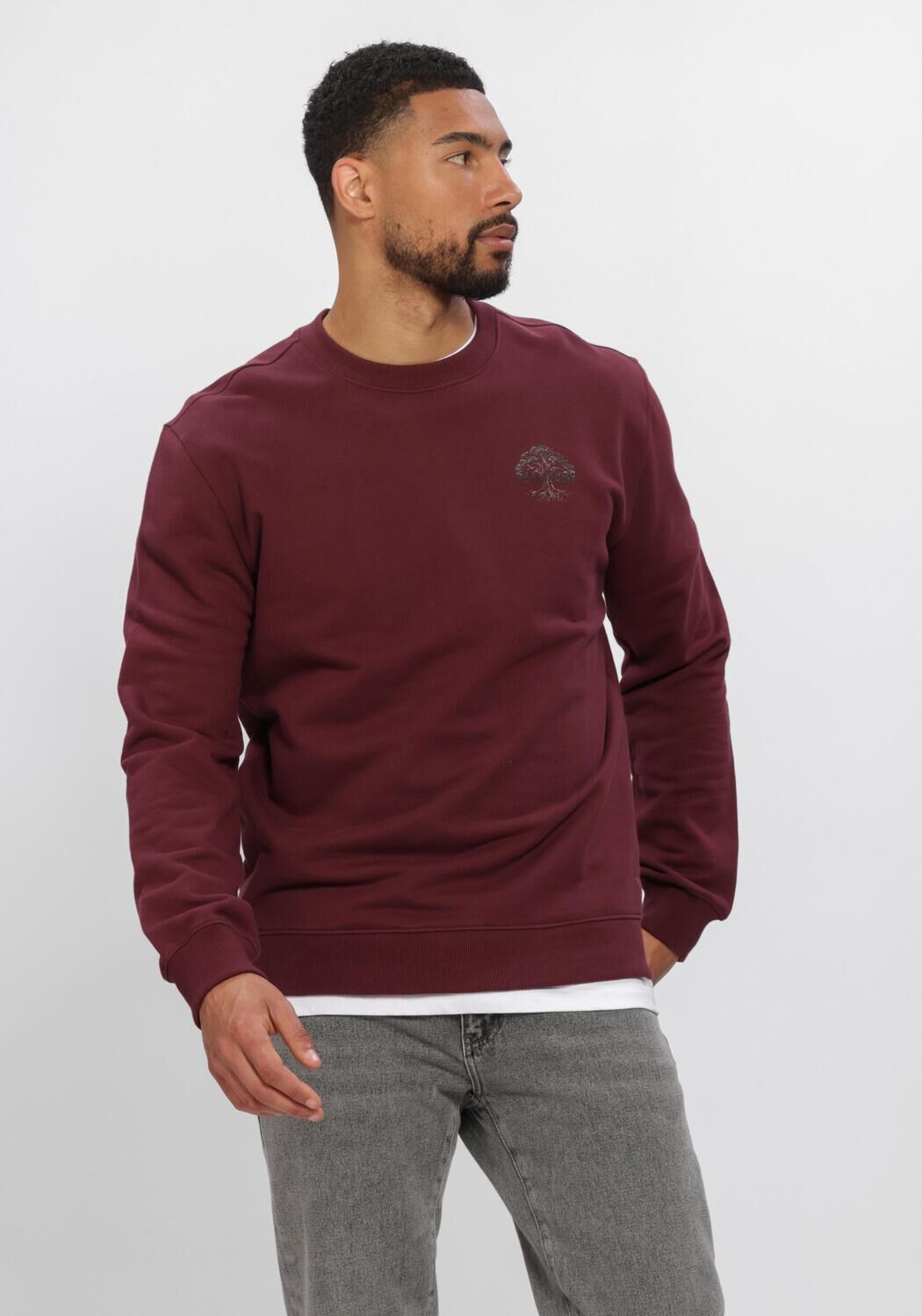 PURE PATH Pull ROOTED TREE Bordeaux - large