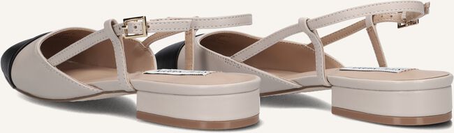 Zand STEVE MADDEN  BELINDA Zand STEVE MADDEN  BELINDA - large