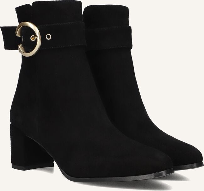 NOTRE-V 8552 NOTRE-V 8552 - large