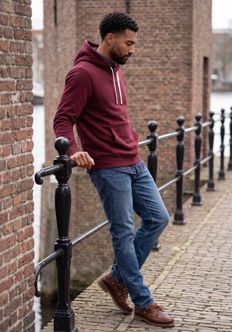 TOMMY HILFIGER Chandail ESS SEASONAL FLEECE HOODY Bordeaux - large