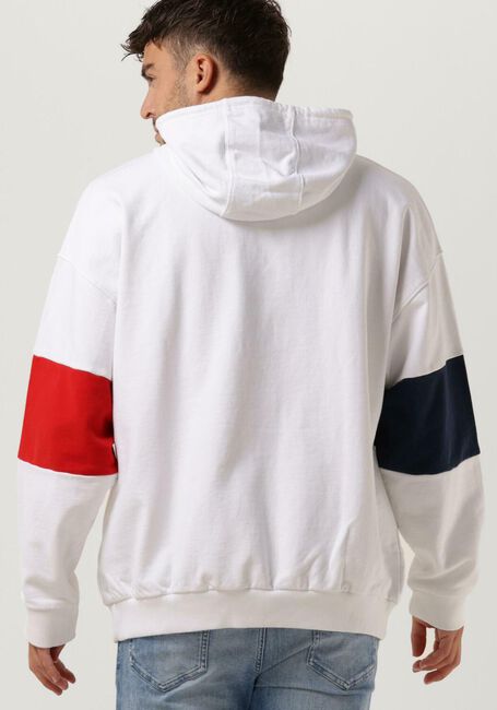 TOMMY JEANS Chandail TJM SKATER ARCHIVE BLOCK HOODIE en multicolore - large