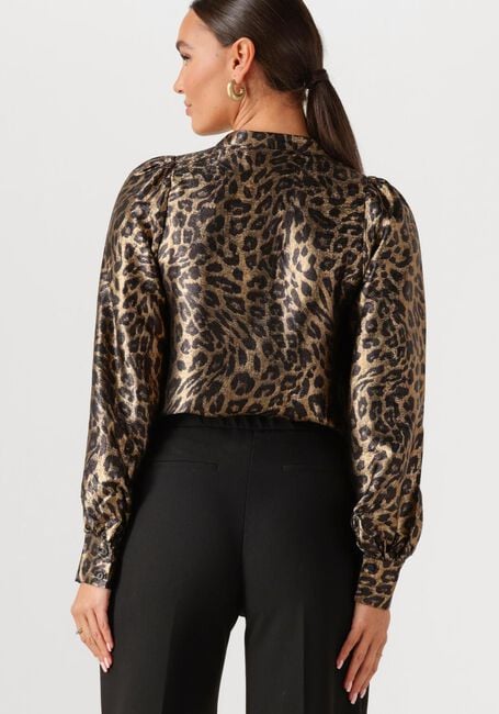 Bruine FREEBIRD  BORELLA - large