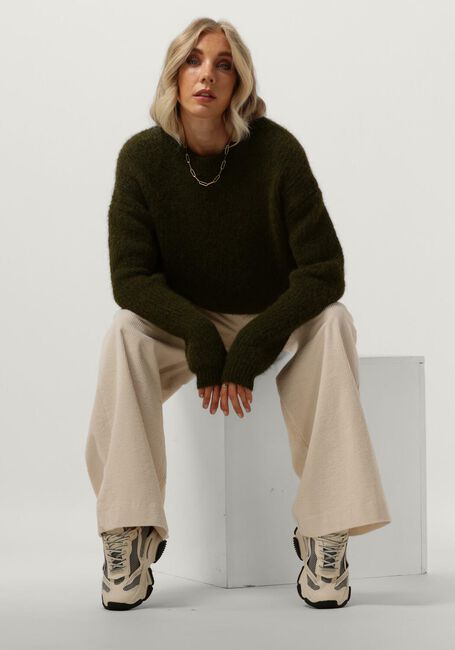 Groene CIRCLE OF TRUST Trui JOY KNIT - large