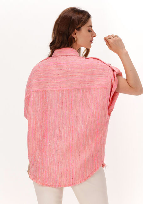 Roze IRO  FAHS - large