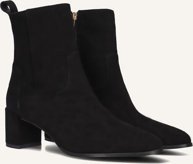 NOTRE-V 8543 NOTRE-V 8543 - large