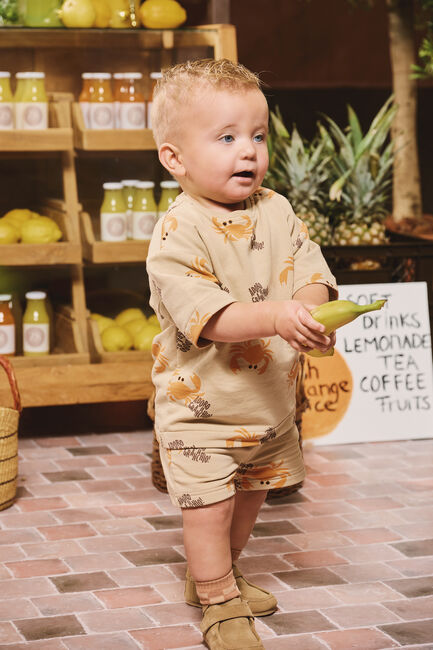 Bruine Z8 Beenmode GIANCARLO - large