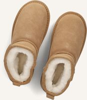 Cognac VINGINO  ASHLEY LOW Cognac VINGINO  ASHLEY LOW - medium