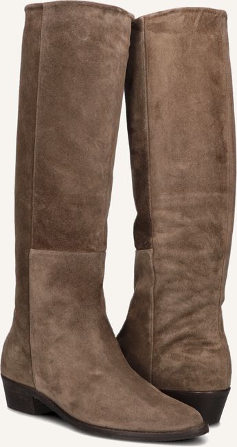 TORAL 12777 TORAL 12777 - large