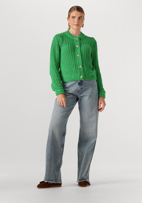 Groene FABIENNE CHAPOT Vest SUN CARDIGAN - large