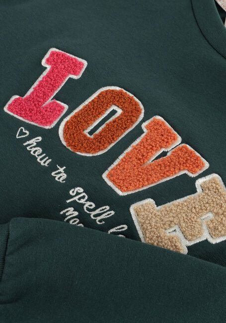 Donkergroene MOODSTREET Sweater SWEATER SOFIE - large