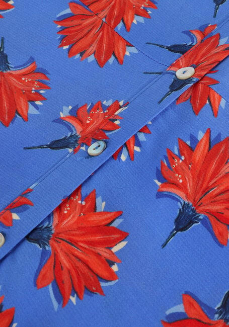 POM AMSTERDAM Robe midi STACY FLOWERS en bleu - large