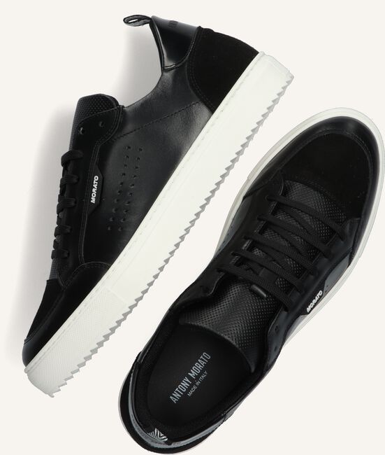 Zwarte ANTONY MORATO Lage sneakers MMFW01336 Zwarte ANTONY MORATO Lage sneakers MMFW01336 - large