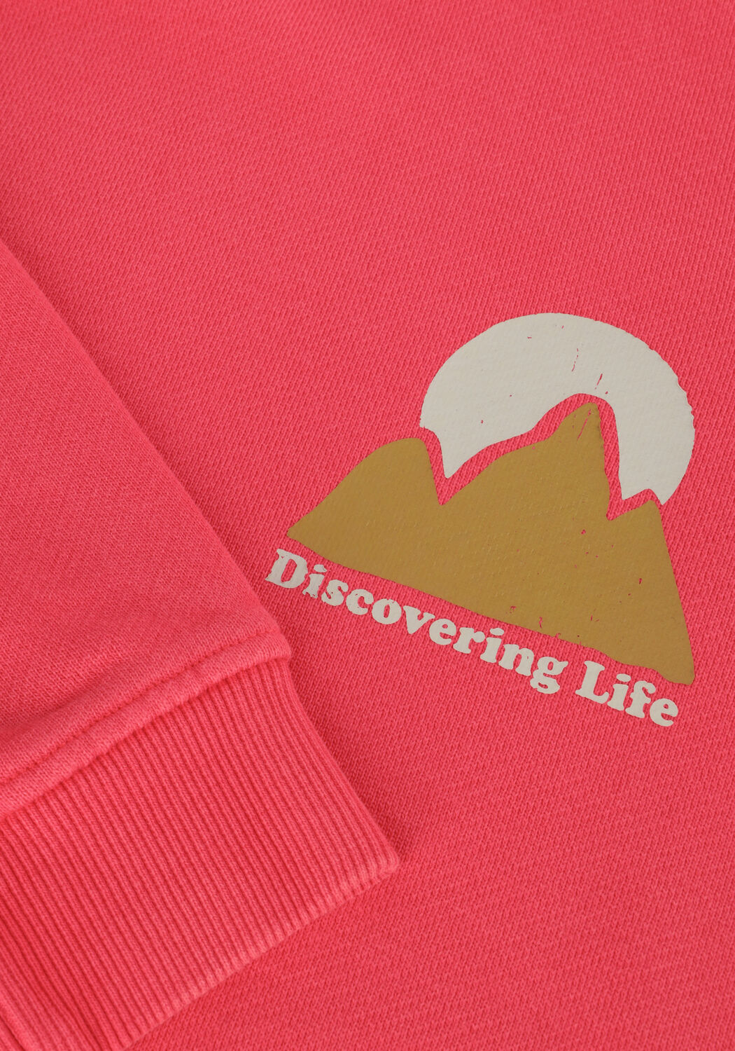 DAILY7 HOODIE DISCOVERING LIFE Pulls & Gilets en rouge - large